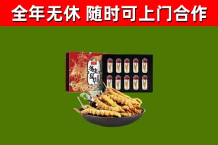 朝阳回收冬虫夏草价格